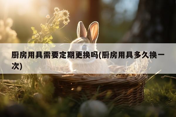 ayx爱游戏：厨房用具需要定期更换吗(厨房用具多久换一次)