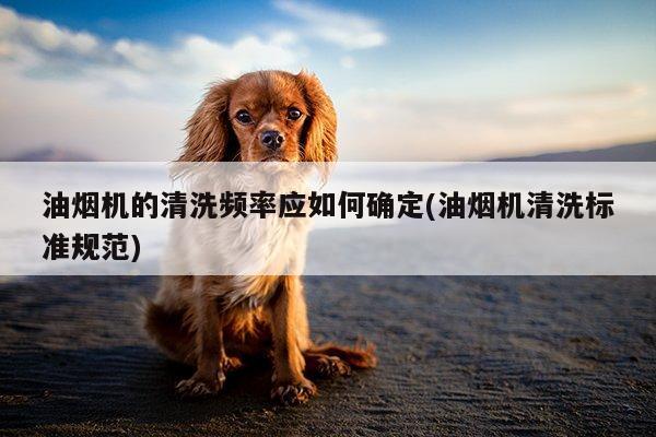 【ayx爱游戏】油烟机的清洗频率应如何确定(油烟机清洗标准规范)