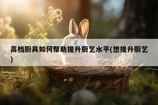 ayx爱游戏|高档厨具如何帮助提升厨艺水平(想提升厨艺)