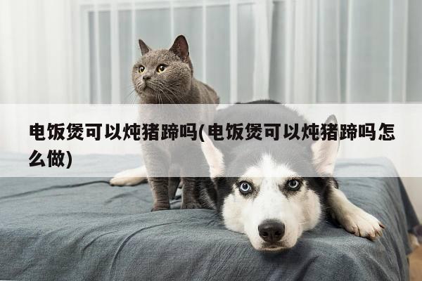 电饭煲可以炖猪蹄吗(电饭煲可以炖猪蹄吗怎么做)_ayx爱游戏官网