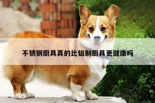 不锈钢厨具真的比铝制厨具更健康吗|ayx爱游戏官网