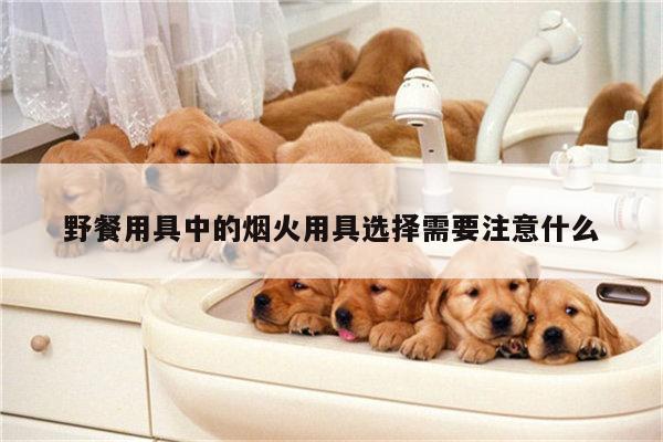 野餐用具中的烟火用具选择需要注意什么【ayx爱游戏官网】