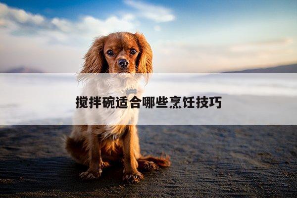 爱游戏app：搅拌碗适合哪些烹饪技巧