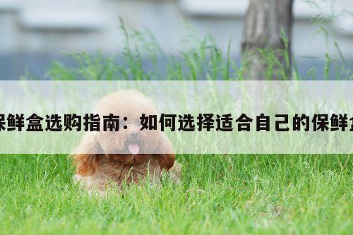 保鲜盒选购指南：如何选择适合自己的保鲜盒|ayx爱游戏官网