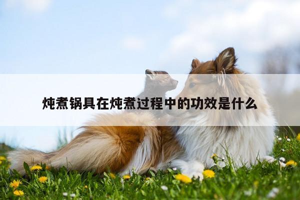 炖煮锅具在炖煮过程中的功效是什么-ayx爱游戏官网